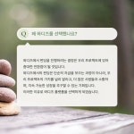 귀여운 래빗과 함께 떠나는 마법 같은 타로 여행: 래빗 마르세유 패키지