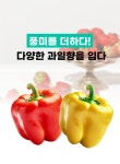 국내최초! 과일보다 상큼 달콤 아삭한 스테비아 파프리카, 칵테일 토마토!