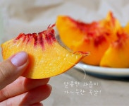 [착한 가격]가격 실화?! 너~무 맛있는 원씨네 1등급 신선+신비 복숭아