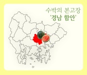 쉿! 너만 몰래 먹어! 꿀뚝뚝 블랙보스귀족수박