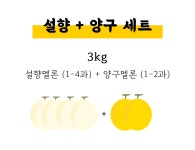 멜론2종세트ㅣ지금 놓치면 1년을 기다려야할 프리미엄멜론, 설향&양구멜론