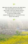 이거 하나면 밥반찬 끝! 울릉도의 봄을 담아 갓 생산한 제철 명이김치 by 울릉KOSMOS