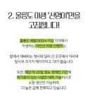 울릉도의 봄을 담아 갓 생산한 제철 명이김치 by 울릉KOSMOS | wadiz 이거 하나면 밥반찬 끝! 울릉도의 봄을 담아 갓 생산한 제철... 