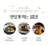 울릉도의 봄을 담아 갓 생산한 제철 명이김치 by 울릉KOSMOS | wadiz 이거 하나면 밥반찬 끝! 울릉도의 봄을 담아 갓 생산한 제철... 