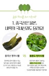 이거 하나면 밥반찬 끝! 울릉도의 봄을 담아 갓 생산한 제철 명이김치 by 울릉KOSMOS