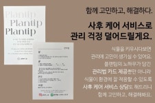 작지만 품격있는 우리집 작은정원, 플랜팁의 프리미엄 미니분재 by 플랜팁 | wadiz 작지만 품격있는 우리집 작은정원, 플랜팁의 프리미엄... 
