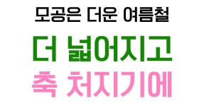 [1회 사용 모공개선 최대86%] 모공은 3차원으로 조여야 깐달걀이 되죠 by 피넛(P.nut)