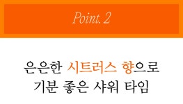 [에르메스] 온 몸을 휘감는 럭셔리, 머리부터 발 끝까지 10만원대에 by 페이스영 주식회사