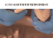 [특별구성] 뼛속까지 시원한 충남 당진 길몽&모씨네 초계국수 by 주식회사 로컬테이블