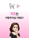 이거 하나로 끝ㅣ세븐펫 에어살롱 by 주식회사 마음 | wadiz 펫드라이기와 미용을 한번에! 이거 하나로 끝ㅣ세븐펫 에어살롱 by 주식회사 마음... 