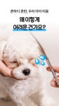 펫드라이기와 미용을 한번에! 이거 하나로 끝ㅣ세븐펫 에어살롱 by 주식회사 마음
