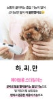 이거 하나로 끝ㅣ세븐펫 에어살롱 by 주식회사 마음 | wadiz 펫드라이기와 미용을 한번에! 이거 하나로 끝ㅣ세븐펫 에어살롱 by 주식회사 마음... 