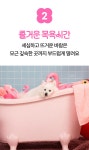 펫드라이기와 미용을 한번에! 이거 하나로 끝ㅣ세븐펫 에어살롱 by 주식회사 마음