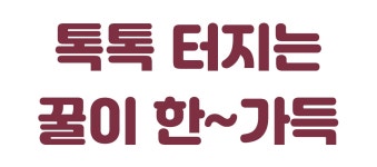 [평점5.0] 청&홍무화과 세트ㅣ진~하게 완숙되어 꿀이 가득! 무화과2종