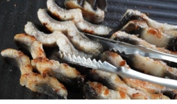 고창선운산민물장어주식회사 | [복날추천] 5분만에 불끈불끈! 선운산 정기 받은 "명품 고창풍천장어" by 주식회사 셀코