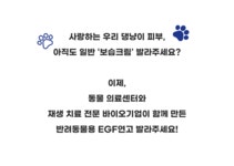 [댕냥이 피부 재생보습 연고] 수의사와 바이오기업의 합작 셀더마겔