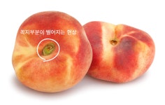 납작이 도넛 <거반도 복숭아> 쫀득한 식감에 한번 풍미에 두번 놀라요!! by 도란도란마켓