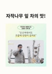 한 잔의 산책, 강원도 홍천 백자작나무 잎 차 & 힐링 굿즈 세트 | 와디즈 오픈예정 와디즈 오픈예정 | 한 잔의 산책, 강원도 홍천 백자작나무 잎 차... 