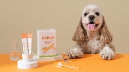 [약사개발]우리 아이의 활력을 책임져줄 반려동물 피로회복제 | 와디즈... 오픈예정 | [약사개발]우리 아이의 활력을 책임져줄 반려동물 피로회복제