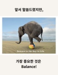 MBTI 단점 극복! 밸런싱 아로마테라피