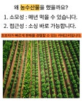 관음농수산판매 | [하루 최대 주문건 200개] 직장인이 알려주는 농수산 위탁판매 노하우 by 김대리 | wadiz [하루 최대 주문건 200개] 직장인이 알려주는 농수산...