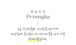 더 스마트해진 2024 New펫밀리아 펫드라이어 by (주)제이온 글로벌... 더 스마트해진 2024 New펫밀리아 펫드라이어 by (주)제이온 글로벌... 
