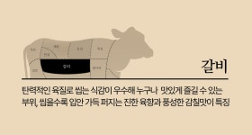 100G당 6천원대! 역대급 구성! 넘치는 풍미 자랑하는 암소한우 by 주식회사 창운