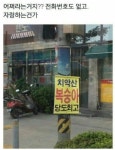 [치악산 복숭아 당도최고] 13브릭스 이상 꿀 복숭아 복케팅 도전! by 주식회사 고도 | wadiz [치악산 복숭아 당도최고] 13브릭스 이상 꿀... 