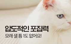 by 주식회사 핏펫(Fitpet) | wadiz 인테리어와 기능 모두 잡은 냥쌤... 캐치매트, 모래 셀틈없는 괴물급 포집력 by 주식회사 핏펫(Fitpet) | 와디즈