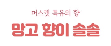 루비망고ㅣ머스캣의 망고향이 솔솔! 고급진 풍미 가득, 유기농 루비망고포도