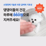 전원료 PET 임상 완료ㅣ하루 한 포로 반려견 5가지 건강관리 해결!