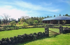 [한정수량 객실 단독공개] 프리미엄 호텔의 정점, 제주 포도호텔 [한정수량 객실 단독공개] 프리미엄 호텔의 정점, 제주 포도호텔 