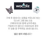 집사들의 원픽 ! 액상형 유럽 프리미엄 반려동물 멀티 영양제 by 유로씨티365(EUROCITY365)