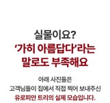 주식회사 루시아이 (LUXIAI Inc.) | [20만원대]유럽이 선택한 크리스마스 트리, 최고급 사양에 냄새걱정 없죠 by 주식회사 루시아이