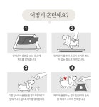 [6겹패드]강아지 생식기에 닿는 패드, 최저가 그만! 완전 안.전.검.증 by (주) 세토리