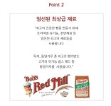 [통밀이 외로워 감자&고구마 만난썰~] 천연발효 봄내 시골 통밀빵 깜빠뉴 by 직스더브레드 자연발효통밀빵 | wadiz [통밀이 외로워 감자&고구마... 