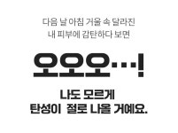 품절임박+만족도만점ㅣ타협않고 망할각오로 만든 미친 개발자의 555만능세럼 by KIFT