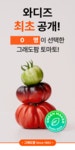 [5만명의 선택] 유기농 토마토로 만든 그래도팜 시그니처 제품 3종