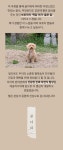 충실한 강아지 밥상 - 영양만점 수제 화식 by 골디리 | wadiz 가장 자연스럽고 기본에 충실한 강아지 밥상 - 영양만점 수제 화식 by 골디리 | 와디즈