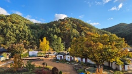 [50%쿠폰][여행] 도파민 중독에서 해방! 힐링 그 자체 in 산골학교