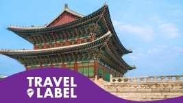 TRAVERL LABEL 트레블레이블 | 와디즈 오픈예정 깊이 파고드는 새로운 여행의 재미! TRAVERL LABEL 트레블레이블
