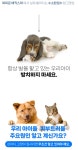 [강아지 핥는이유 해결]아직도 병원 다니세요? 강아지 피부관리 종결템! by 리누네이처 [강아지 핥는이유 해결]아직도 병원 다니세요? 강아지... 