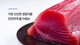 프리미엄 생참치 시대 개막!ㅣ바다에서 뛰놀던 참치를 72시간 안에 집으로