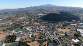 완판신화! 제주 흑돼지의 참맛을 담은 프리미엄 소시지