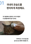 동물병원 방문 이유 1위=습한 귀, 이젠 갖다 대기만 하면 뽀송하게!