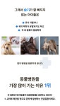 동물병원 방문 이유 1위=습한 귀, 이젠 갖다 대기만 하면 뽀송하게!