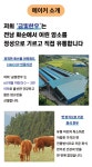 미친가 by 동행주식회사 농업회사법인 | wadiz [꽃등심 9,900원!] 명품 1++한우 스테이크 한판이 만원대! 미친가 by 동행주식회사... 