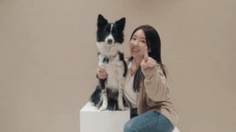 [애견풀빌라] 프라이빗 그리고 프리미엄의 끝, 1만평 규모 스테이펫 홍천 | 와디즈 오픈예정 [애견풀빌라] 프라이빗 그리고 프리미엄의 끝, 1만평... 