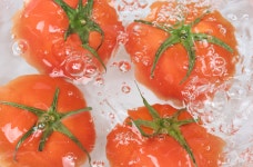 SEED FARM에서 직접 재배한 신선한 토마토 스무디 by 주식회사 씨드에프아이씨