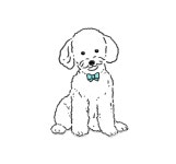 26년 피부전문 동물병원 연구가 담긴 댕냥이<닥터라라 펫 수분크림&샴푸>
